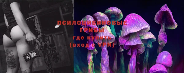 СК Алексин