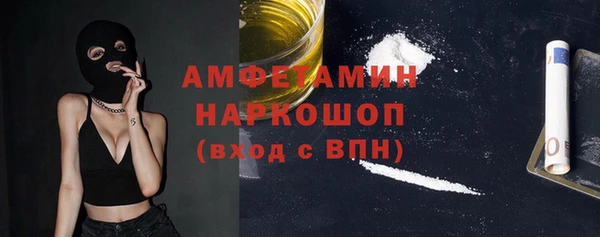 СК Алексин