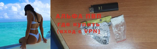 СК Алексин