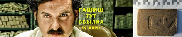 СК Алексин