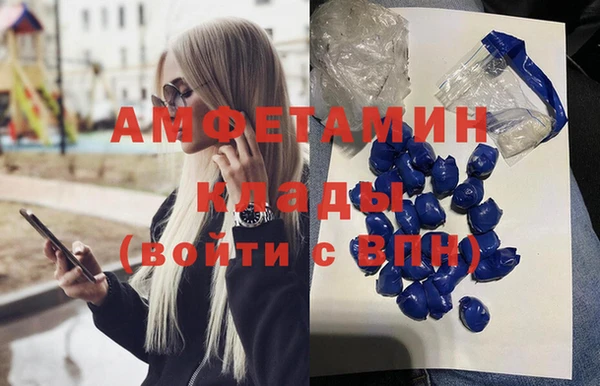 СК Алексин