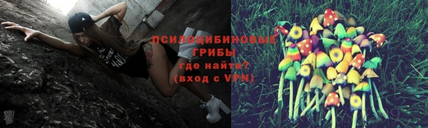 спиды Алзамай