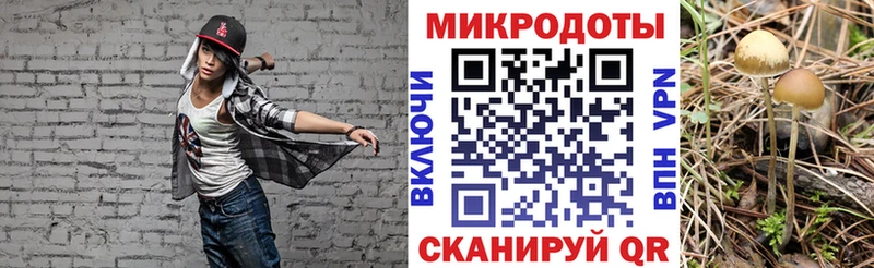 omg tor  Сургут  Галлюциногенные грибы мухоморы 
